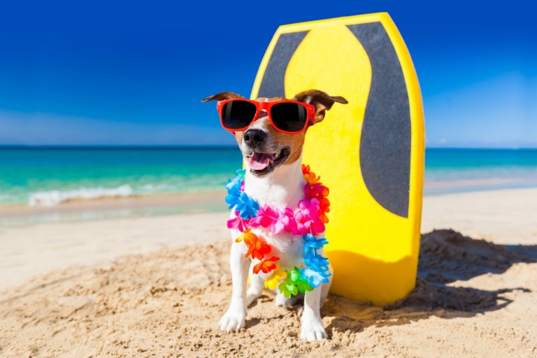 ThinkstockPhotos-518778933