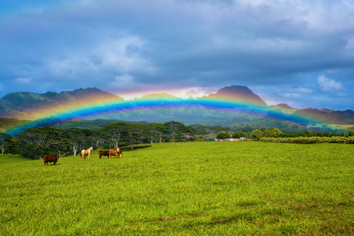 kauai hawaii