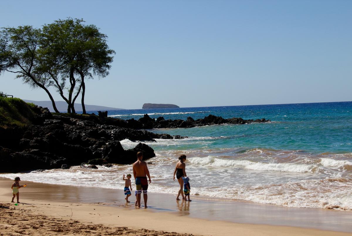 maui turtle beach