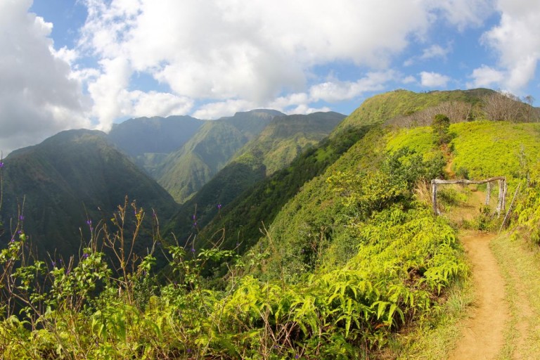Waihee Ridge 7
