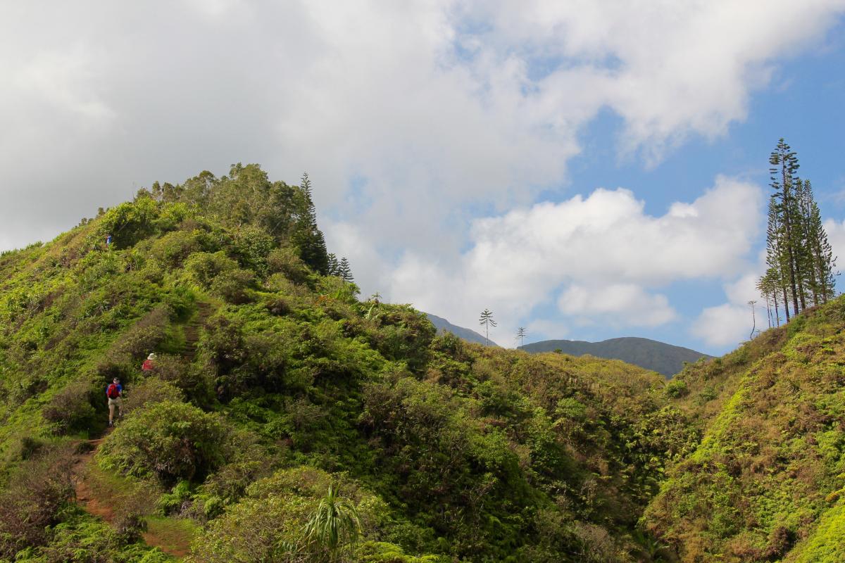 waihee ridge trail