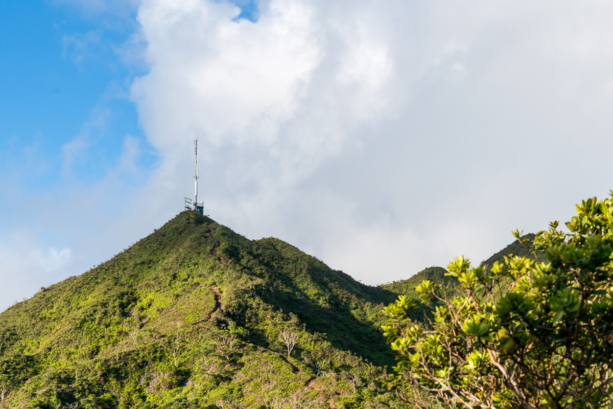 tower