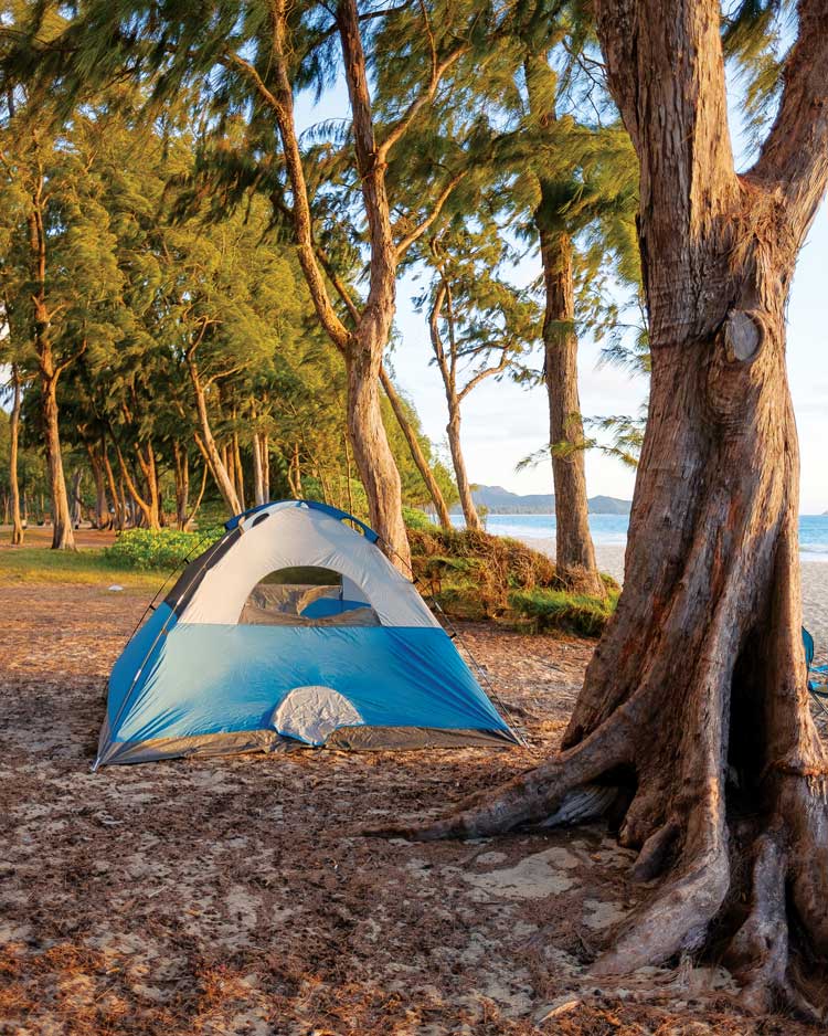 camping