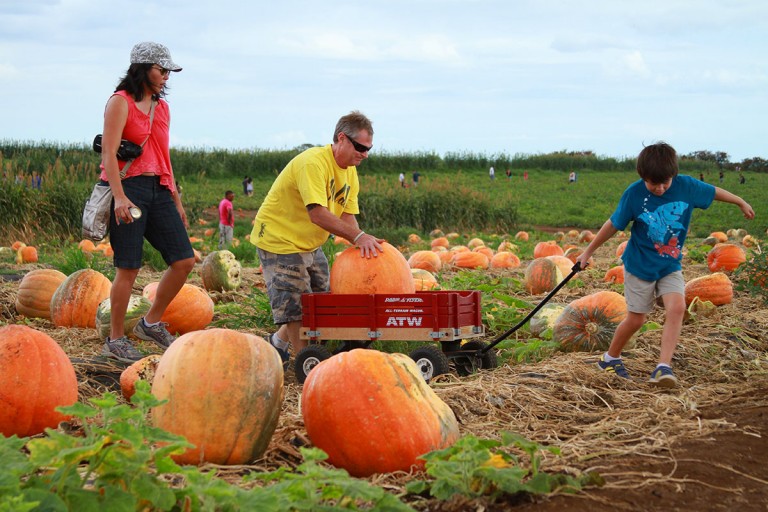aloun farms