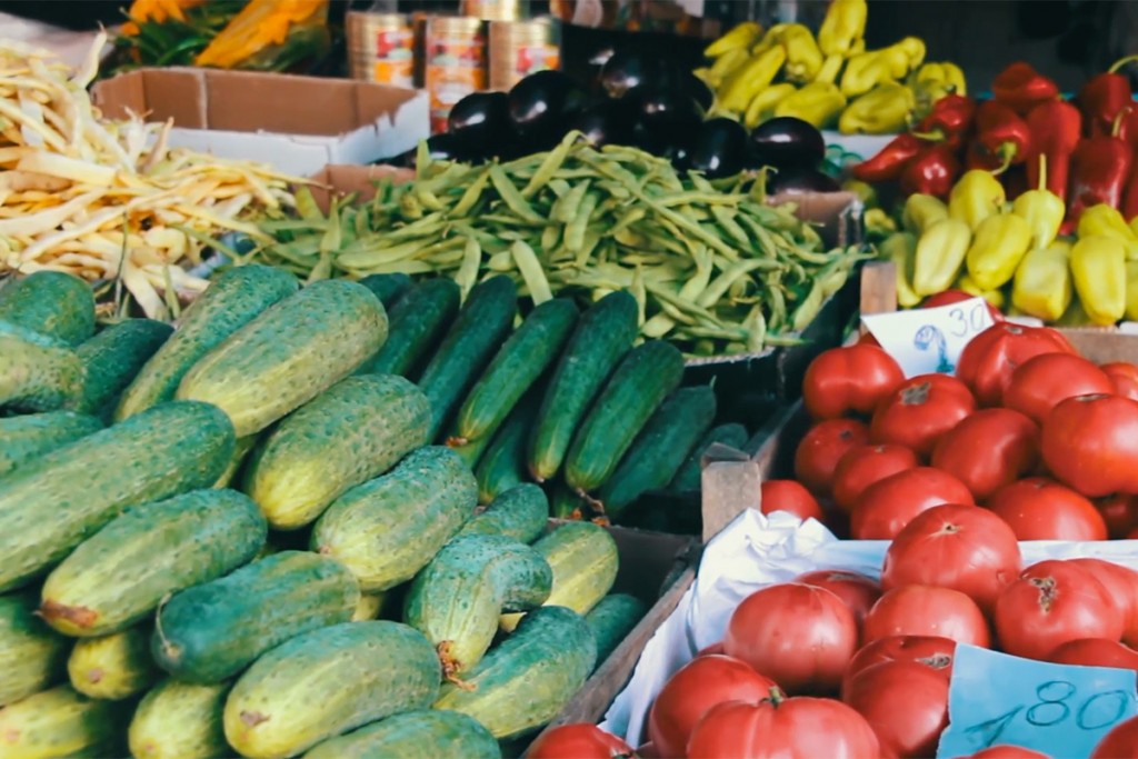 agritourism-stock