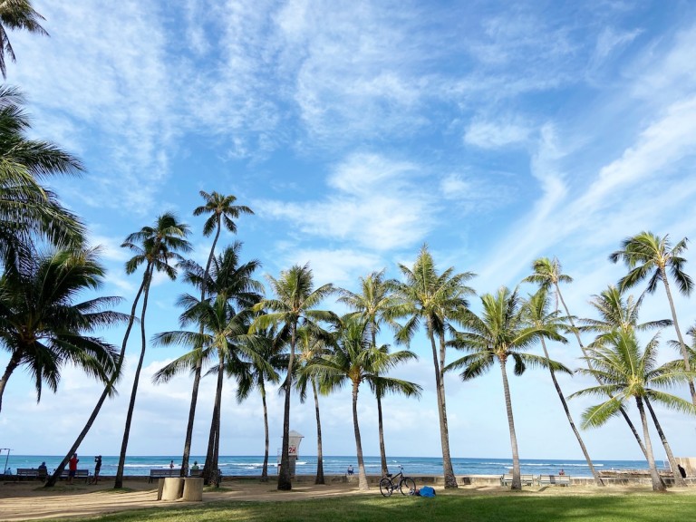 alohafriday-kaimana