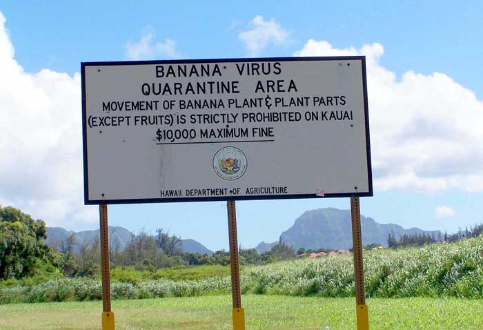 hawaii signs