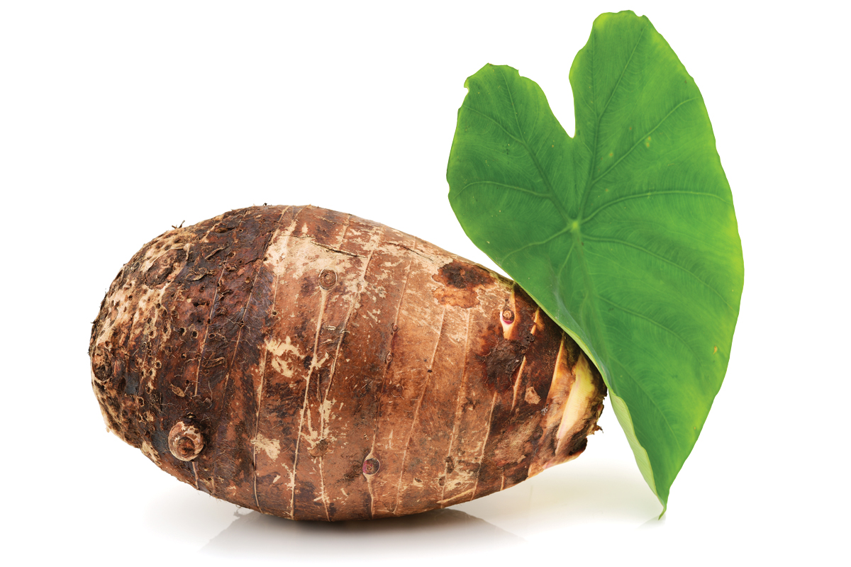taro