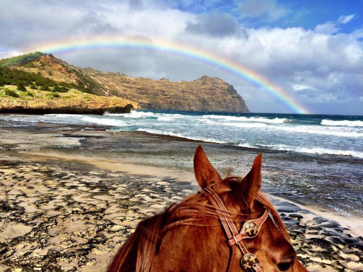 kauai horseback riding