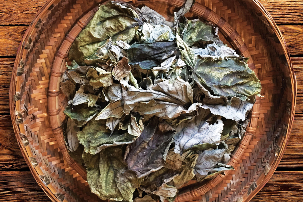 Mauitea