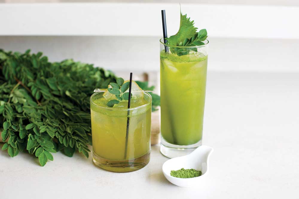 moringa