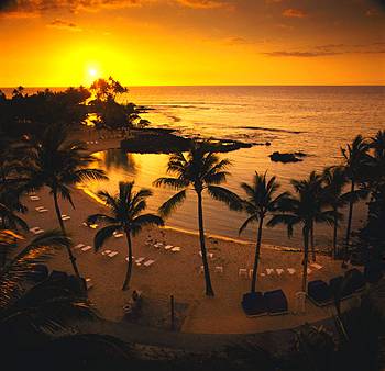 fairmont-orchid