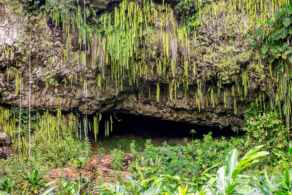 ferngrotto