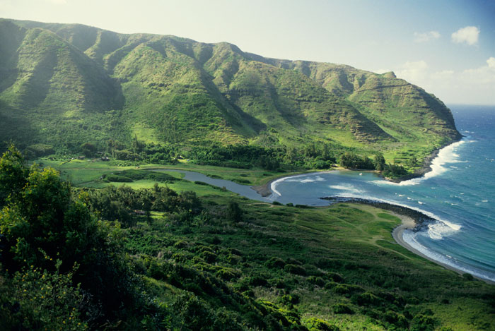 halawa