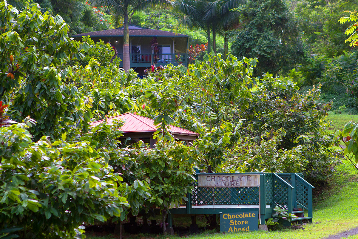  width=