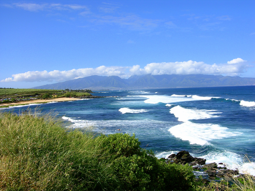 hawaii coats