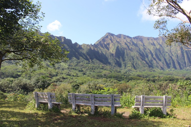 hoomaluhia-benches