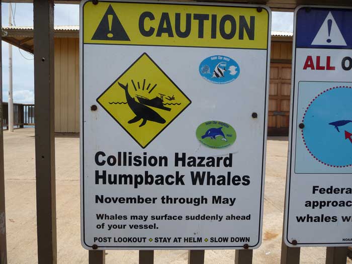 hawaii signs