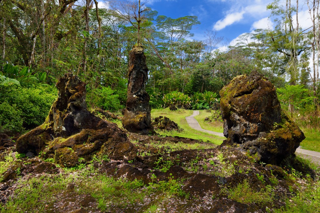 hvnpreopens-treemolds-GettyImages-1034528940