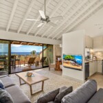 Maui Condo and Home