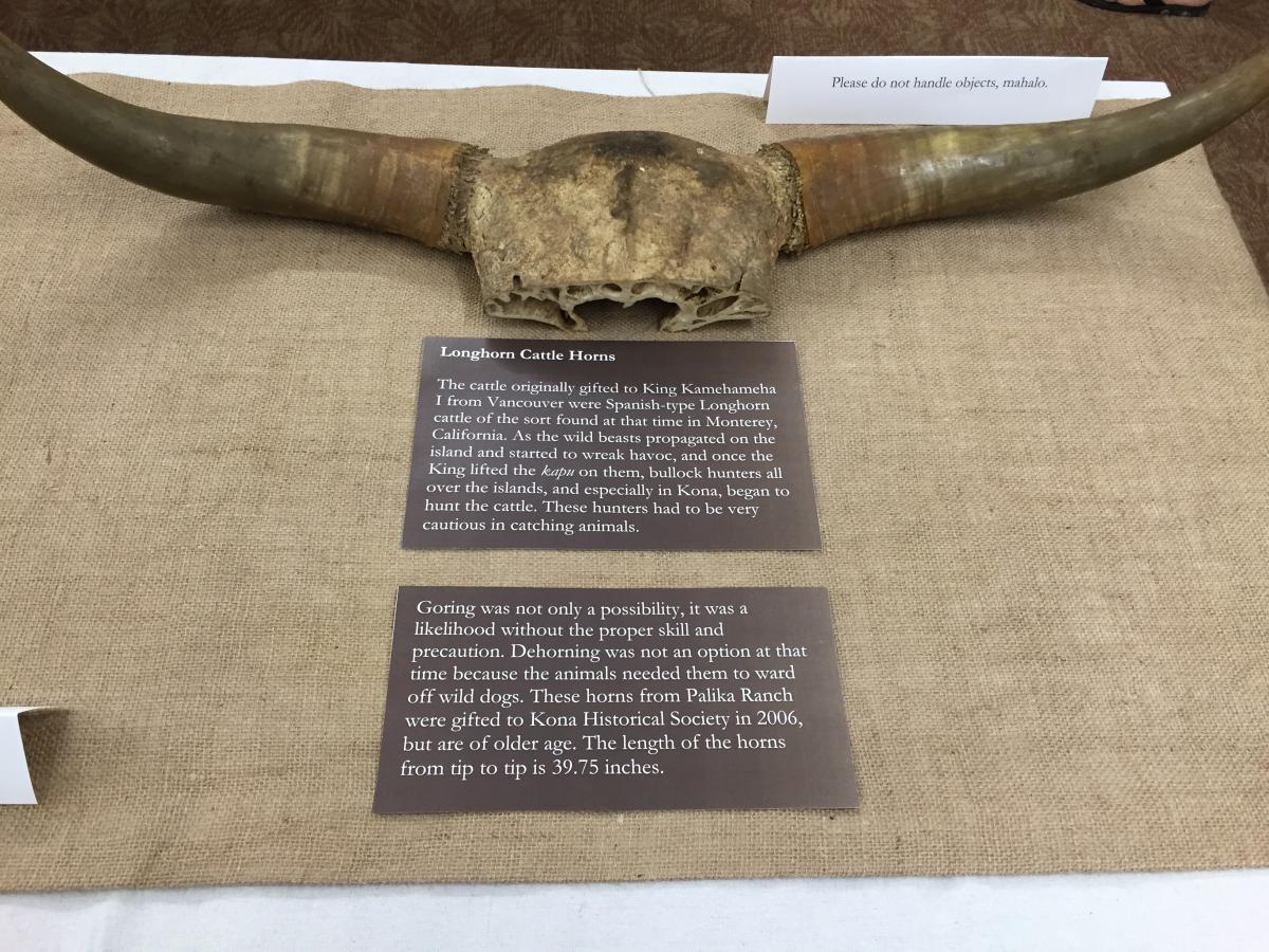 kona paniolo museum