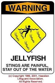 jellyfish