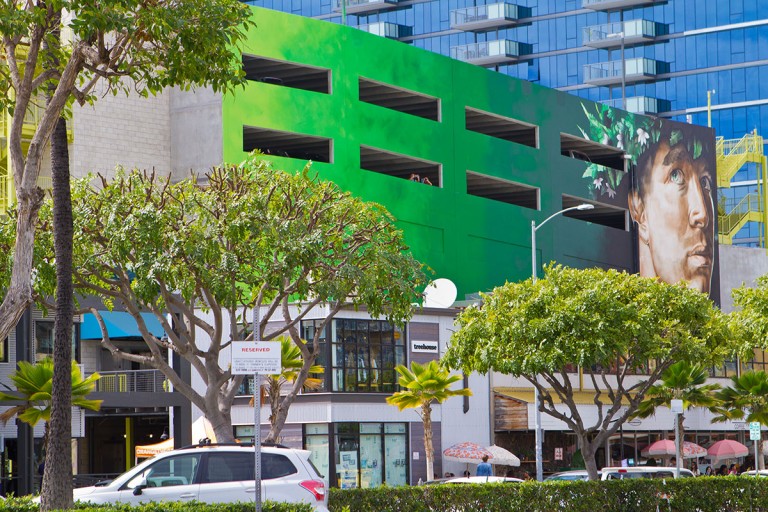 kakaako-tc