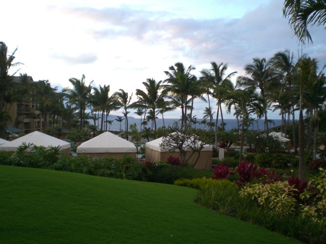 kapalua web
