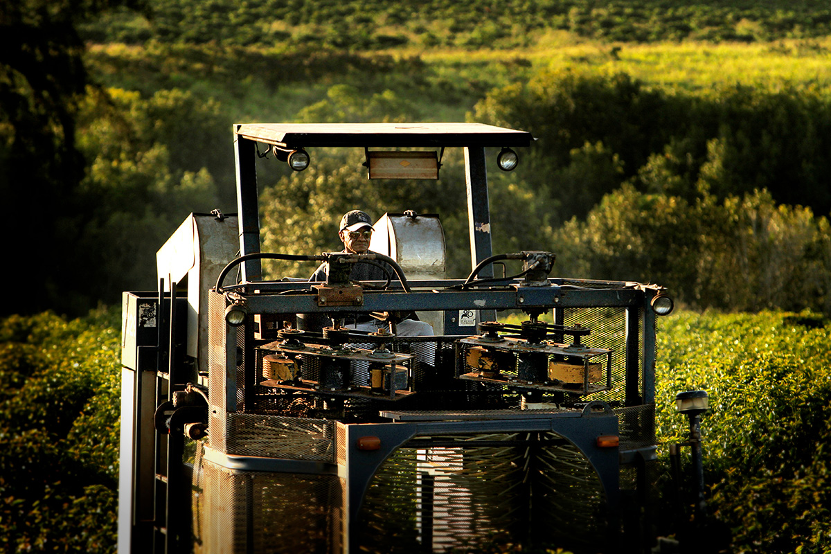 harvester