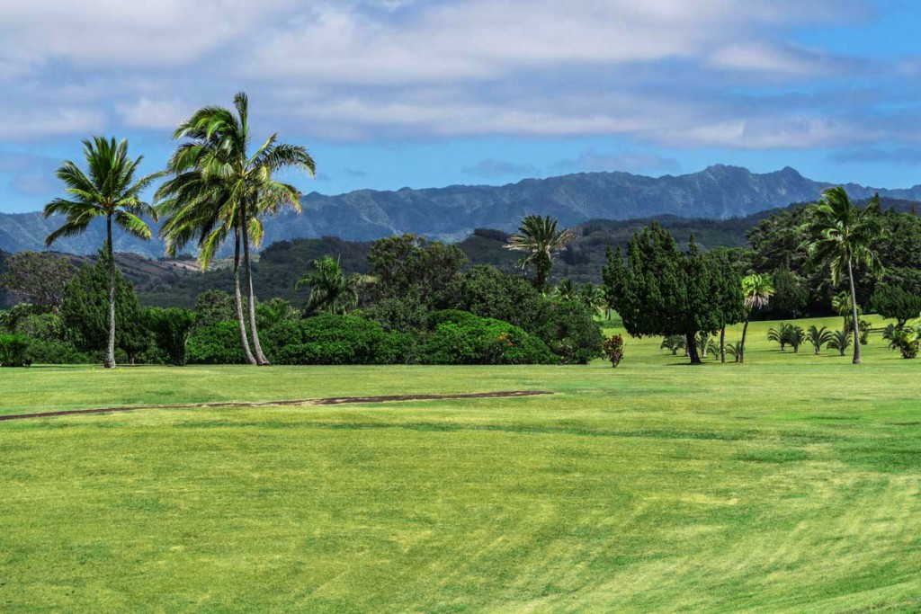 kauaigolf