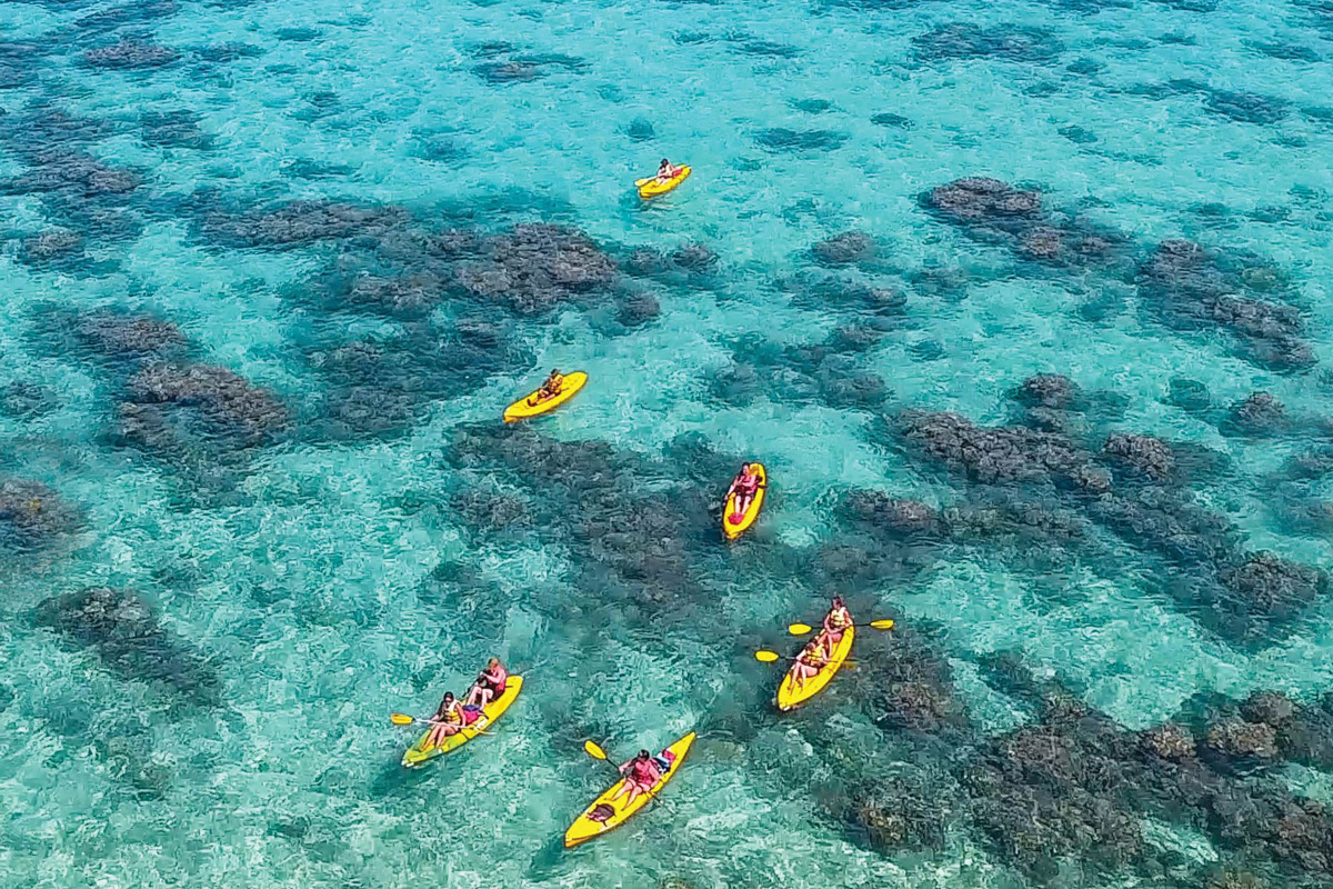 kayak