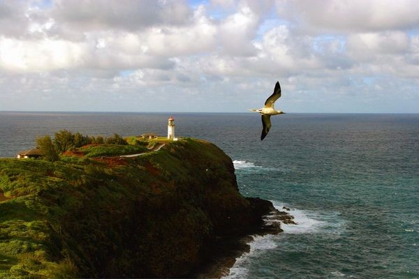 Hawaii_oldest_national_wildlife_refuge