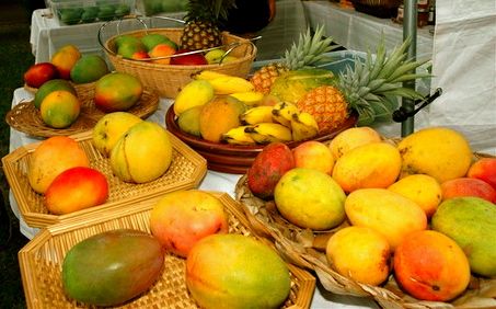 mangoFest