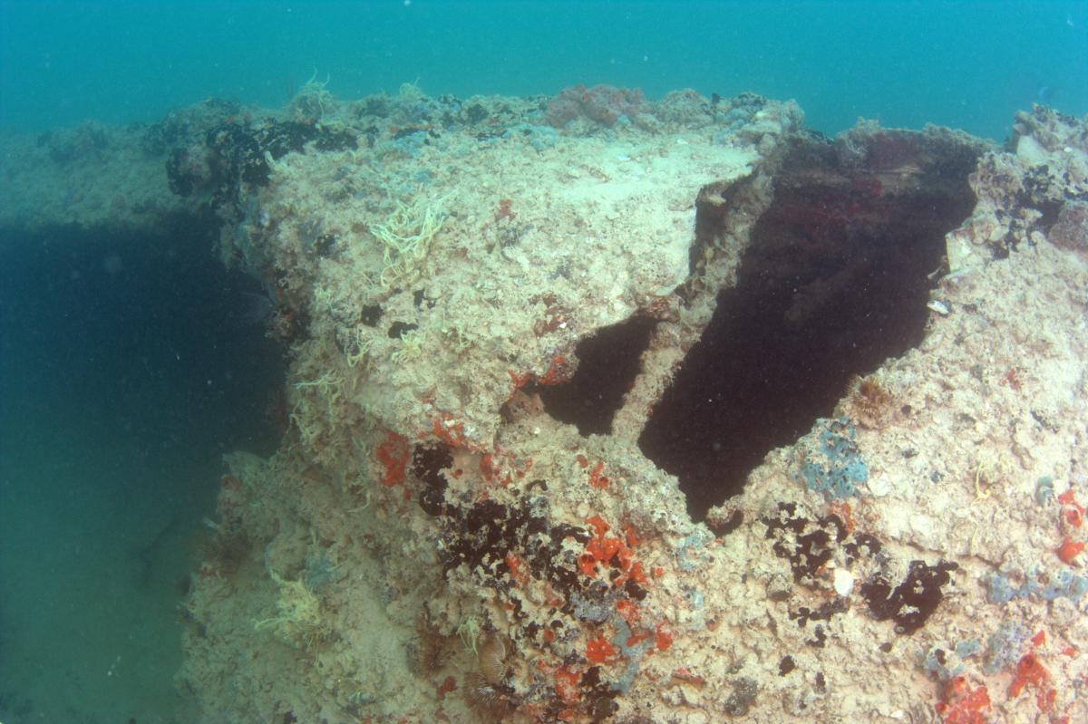 pearl-harbor-sunken-seaplane