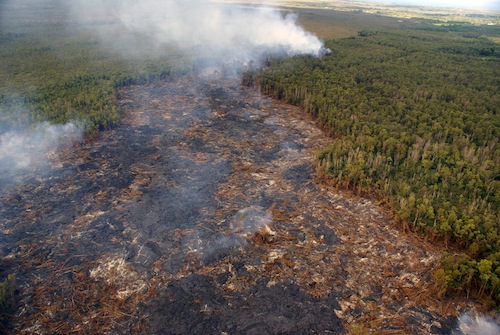 hawaii_island_kilauea_lava_pahoa_puna_district