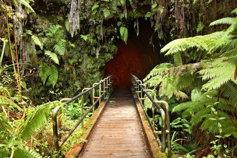 nahukuopens-GettyImages-172656171