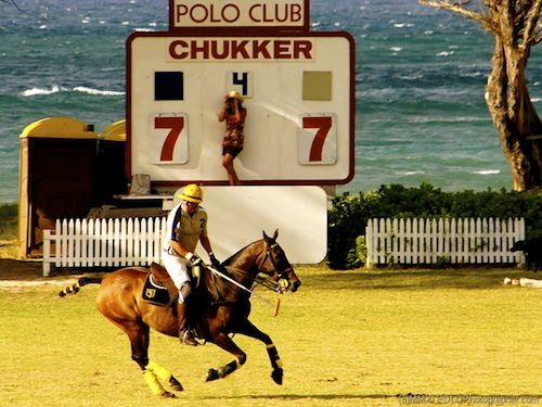 polo22