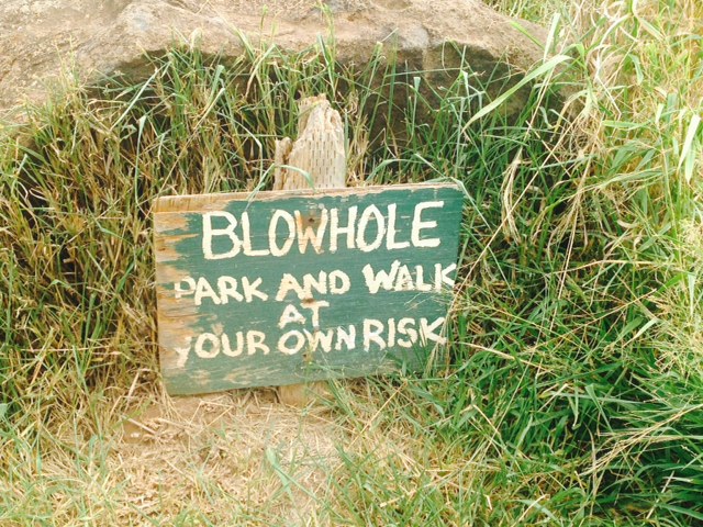 hawaii signs