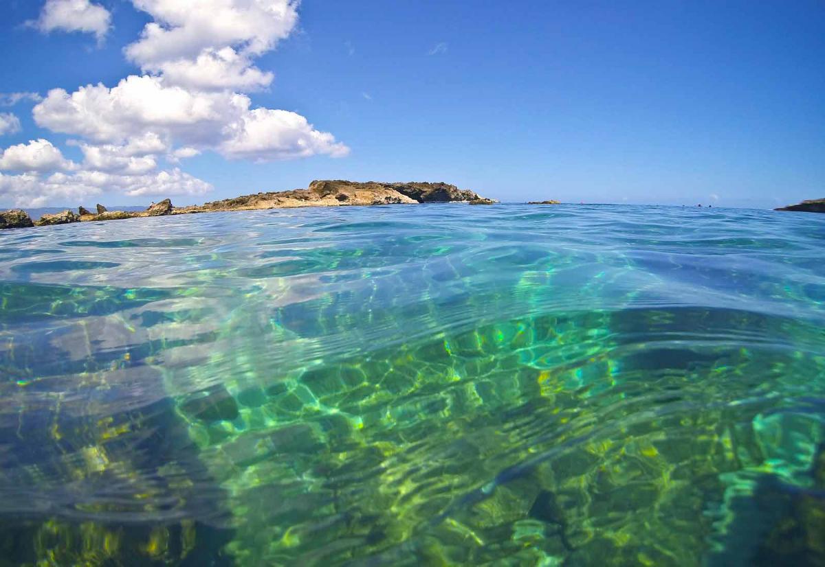sharks cove snorkeling oahu