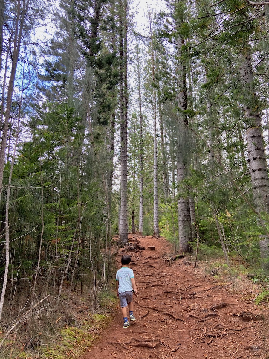  width=