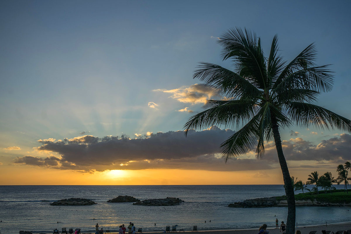 sunset