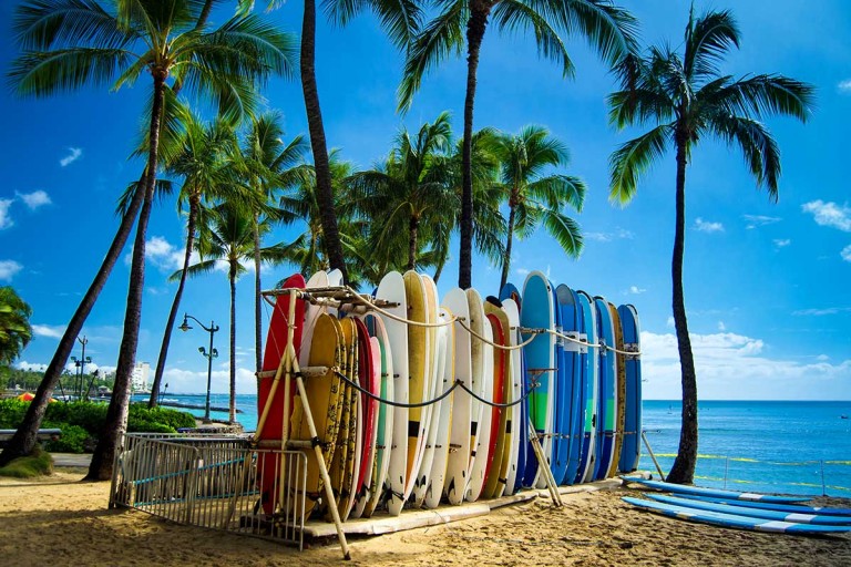 surfboards