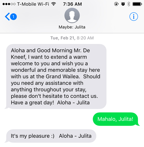grand wailea concierge