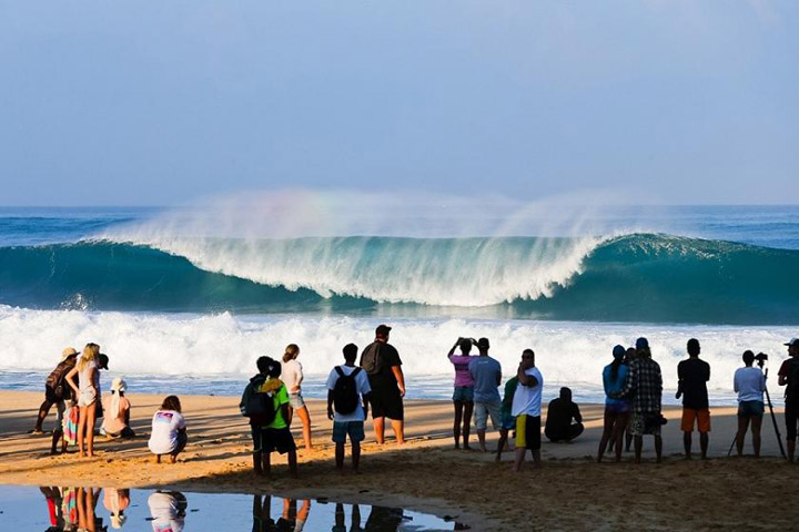 november things to do hawaii