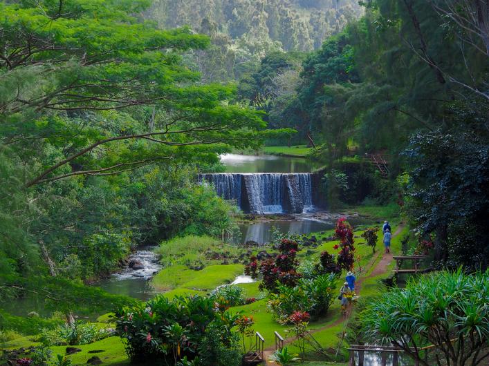 wai koa loop trail kauai