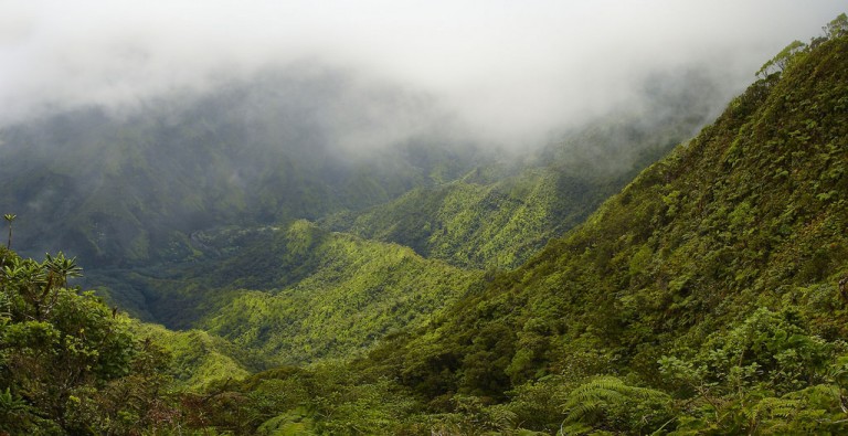 valley