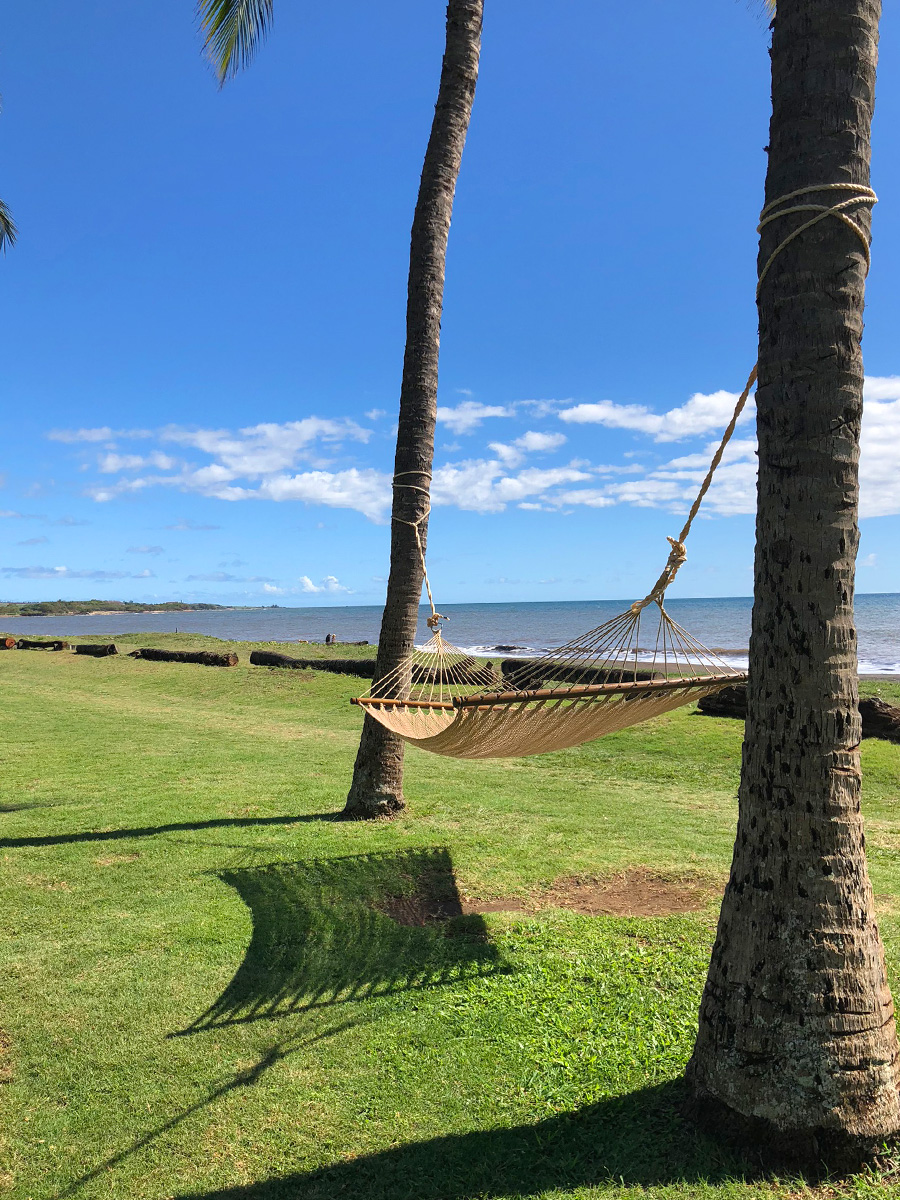 hammock