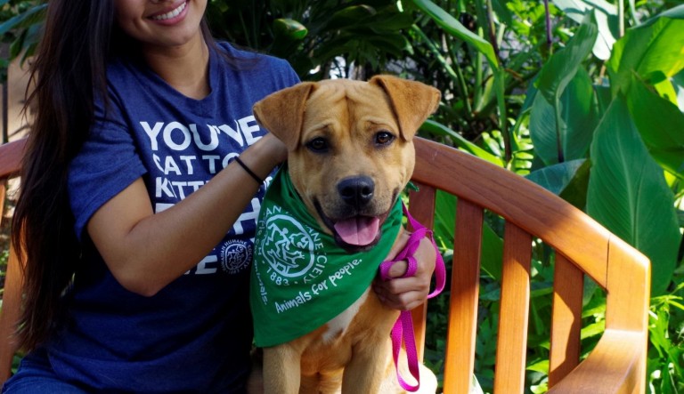 Bandana