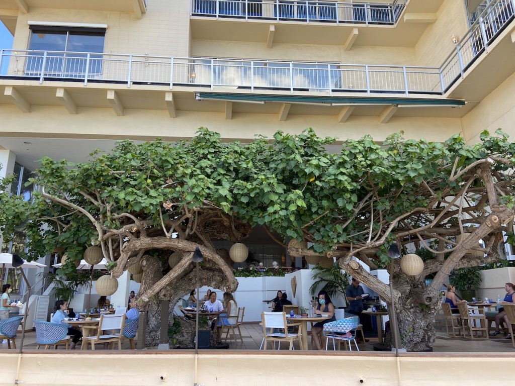 Hautree Restaurant