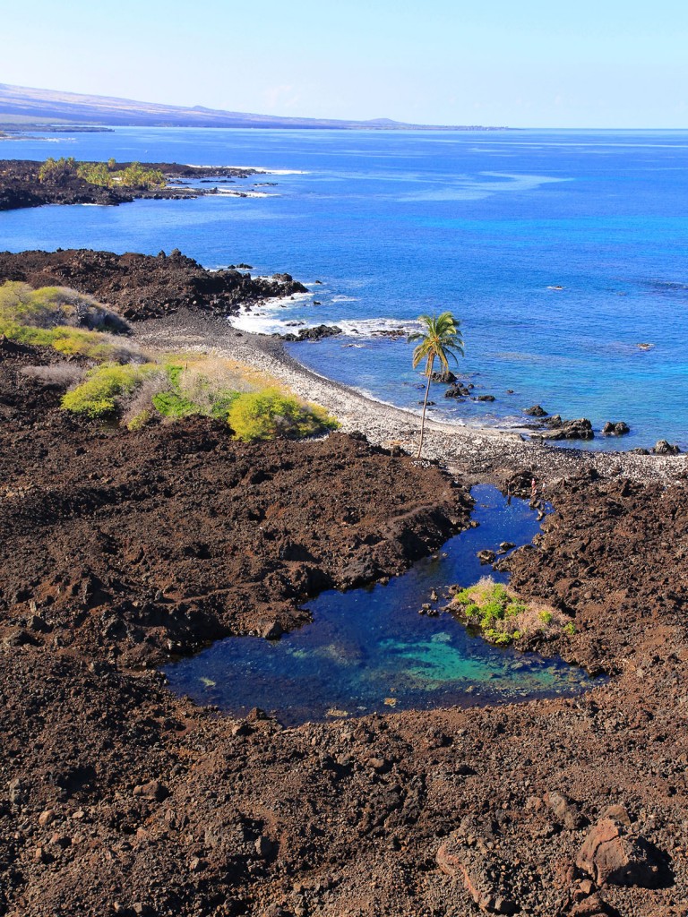 Anchialine Ponds